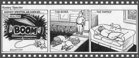 Rotterdam home inspections comic strip