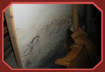 Mold in basement, Troy, NY home