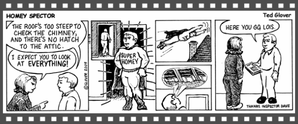 HouseAbout Home  Inspector comic strip